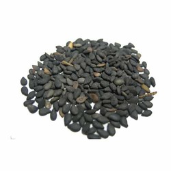 Manufacturers Exporters and Wholesale Suppliers of Black Sesame Seeds Patan Gujarat